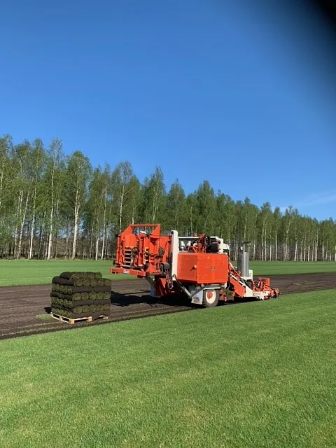 sövdemölla_gård_gräsmatta